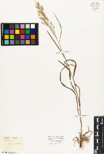SW_BNB_s3010-05399_IMG-0000000001