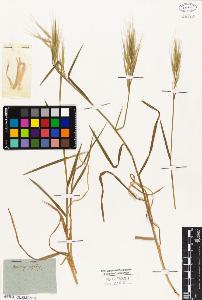SW_BNB_s3010-05401_IMG-0000000001