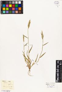 SW_BNB_s3010-05402_IMG-0000000001