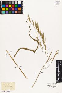 SW_BNB_s3010-05405_IMG-0000000001