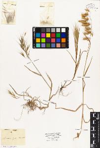 SW_BNB_s3010-05407_IMG-0000000001