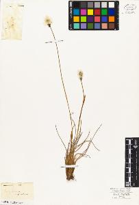 SW_BNB_s3010-05410_IMG-0000000001
