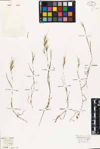SW_BNB_s3010-05413_IMG-0000000001