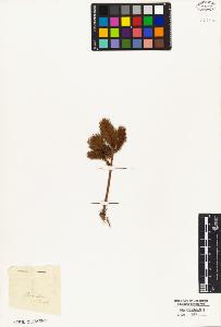 SW_BNB_s3010-05416_IMG-0000000001