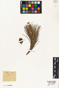 SW_BNB_s3010-05417_IMG-0000000001