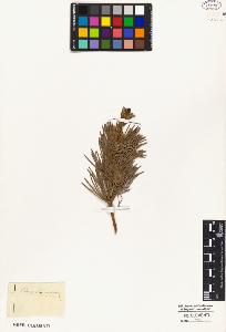SW_BNB_s3010-05418_IMG-0000000001