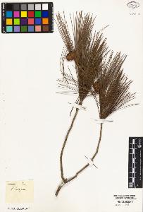 SW_BNB_s3010-05421_IMG-0000000001