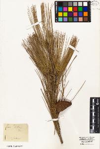 SW_BNB_s3010-05422_IMG-0000000001