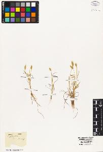 SW_BNB_s3010-05425_IMG-0000000001