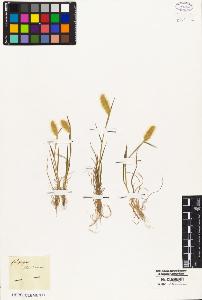 SW_BNB_s3010-05426_IMG-0000000001