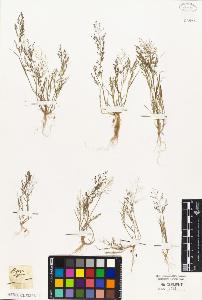 SW_BNB_s3010-05427_IMG-0000000001