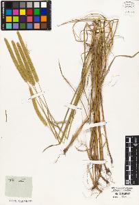SW_BNB_s3010-05428_IMG-0000000001
