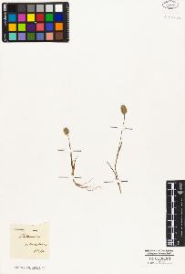 SW_BNB_s3010-05430_IMG-0000000001