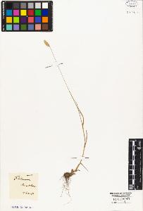 SW_BNB_s3010-05431_IMG-0000000001
