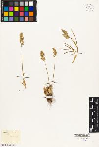 SW_BNB_s3010-05434_IMG-0000000001