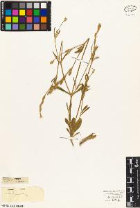 SW_BNB_s3010-05435_IMG-0000000001