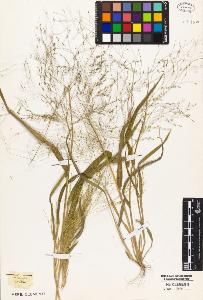 SW_BNB_s3010-05442_IMG-0000000001