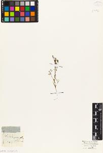 SW_BNB_s3010-05445_IMG-0000000001