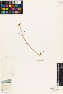 SW_BNB_s3010-05451_IMG-0000000001