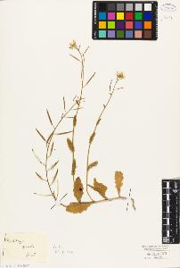 SW_BNB_s3010-05452_IMG-0000000001