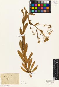 SW_BNB_s3010-05456_IMG-0000000001