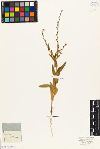 SW_BNB_s3010-05458_IMG-0000000001