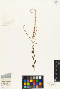 SW_BNB_s3010-05459_IMG-0000000001