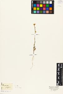 SW_BNB_s3010-05463_IMG-0000000001