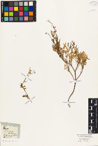 SW_BNB_s3010-05470_IMG-0000000001