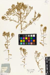 SW_BNB_s3010-05471_IMG-0000000001