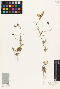 SW_BNB_s3010-05472_IMG-0000000001