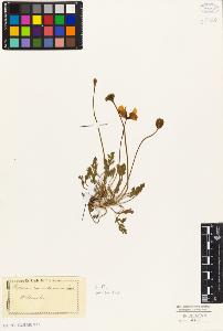 SW_BNB_s3010-05474_IMG-0000000001