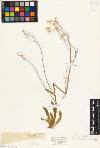SW_BNB_s3010-05490_IMG-0000000001