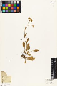 SW_BNB_s3010-05492_IMG-0000000001