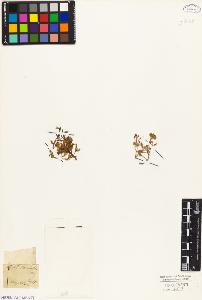 SW_BNB_s3010-05494_IMG-0000000001