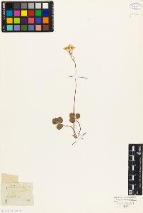 SW_BNB_s3010-05501_IMG-0000000001