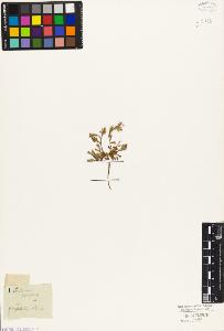 SW_BNB_s3010-05502_IMG-0000000001