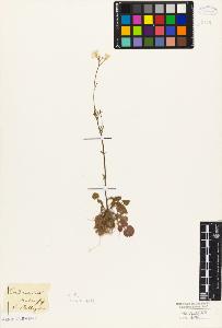 SW_BNB_s3010-05503_IMG-0000000001