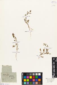 SW_BNB_s3010-05505_IMG-0000000001