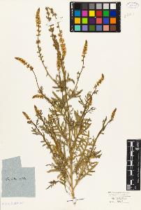 SW_BNB_s3010-05510_IMG-0000000001