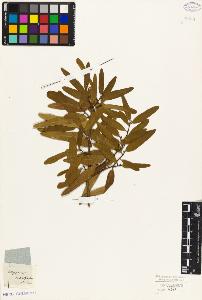 SW_BNB_s3010-05511_IMG-0000000001