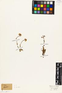 SW_BNB_s3010-05512_IMG-0000000001