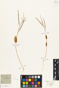 SW_BNB_s3010-05518_IMG-0000000001