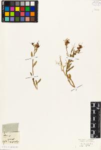 SW_BNB_s3010-05520_IMG-0000000001