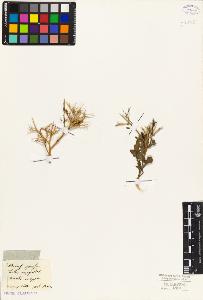 SW_BNB_s3010-05521_IMG-0000000001