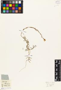 SW_BNB_s3010-05523_IMG-0000000001