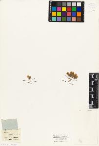 SW_BNB_s3010-05528_IMG-0000000001