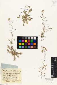 SW_BNB_s3010-05529_IMG-0000000001