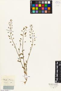 SW_BNB_s3010-05530_IMG-0000000001