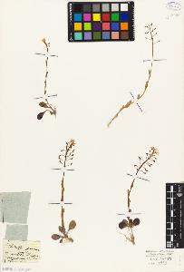 SW_BNB_s3010-05533_IMG-0000000001